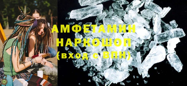 стаф Алзамай